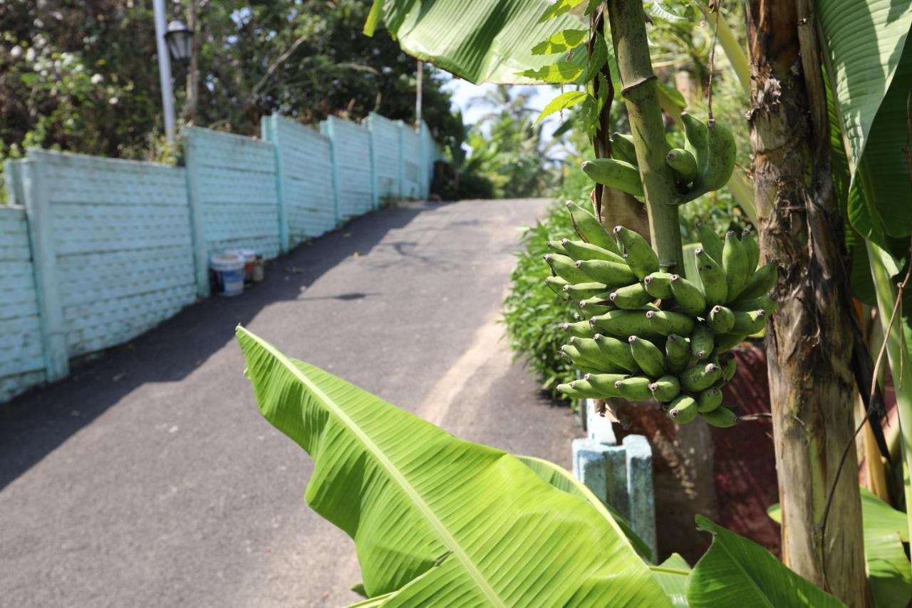 Matildas Retreat Apartment Talaulim Luaran gambar